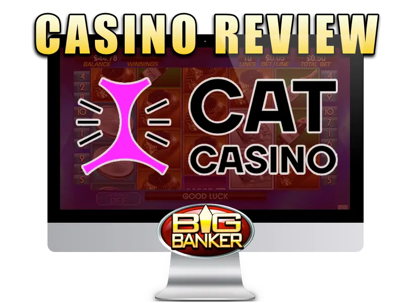 Cat Casino Big Banker